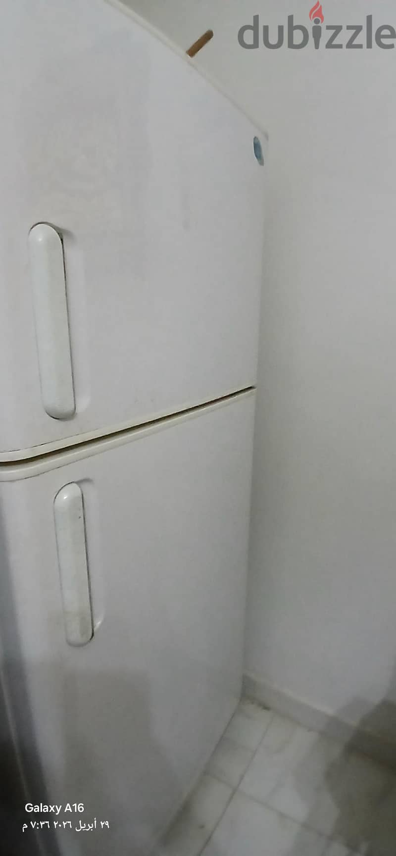 اعلان تلاجه 1