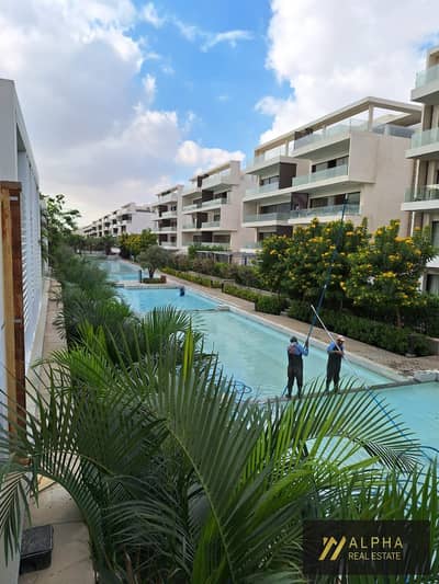 Apartment for Rent in Lake View Residence
