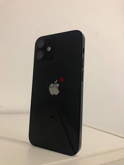 12 mini