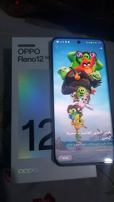 اوبو رينو 12