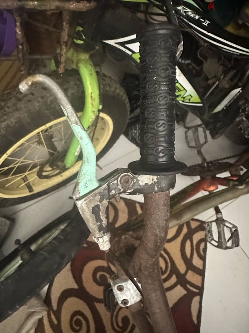 Gomaa bicycle 2
