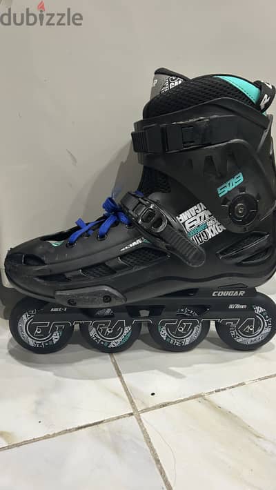 Skate cougar 509