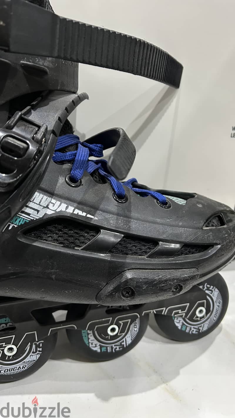 Skate cougar 509 1