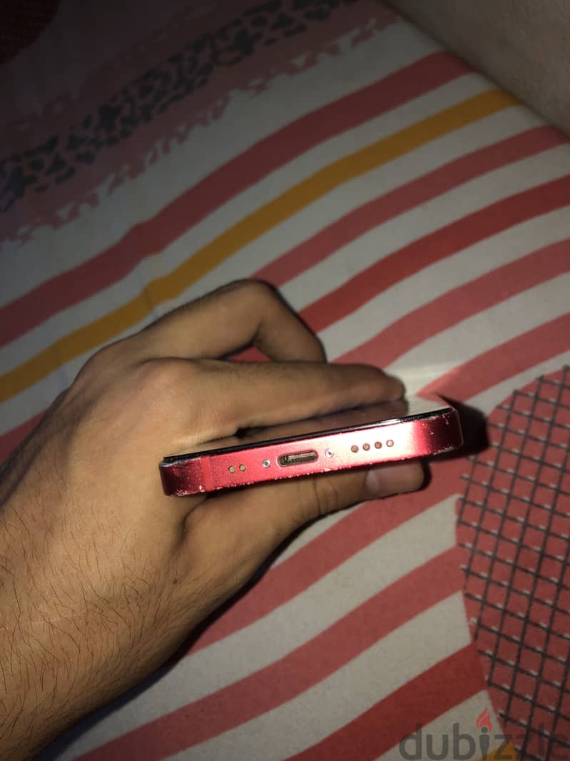iPhone 12 mini 1