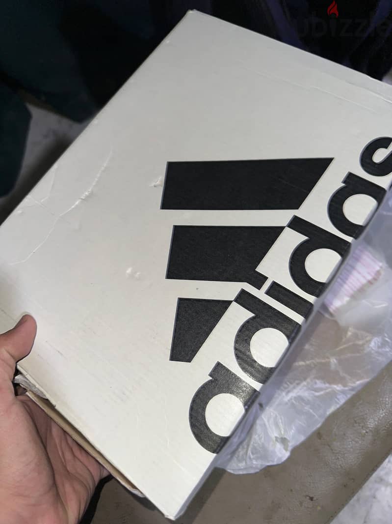 Adidas shoes 2