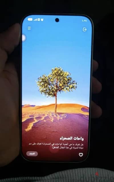 Honor 600