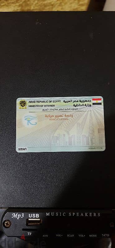 العوايد متفرع من جميله بوحريد الاسكندريه