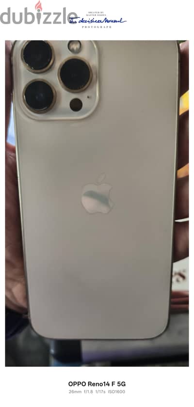 iPhone 13 Pro Max