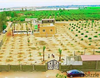 مزرعه للبيع 17 فدان مسجله وبها جميع المرافق وكافه الضمانات القانونيه مزروعه ويوجد بها استراحه