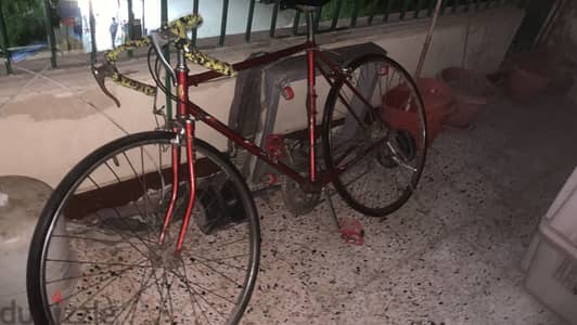 للبيع عجله رود إيطالي