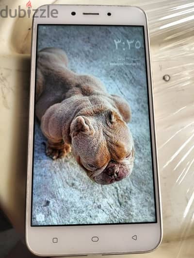 للبيع موبايل a71k شغال تمام متفتحش نهائى