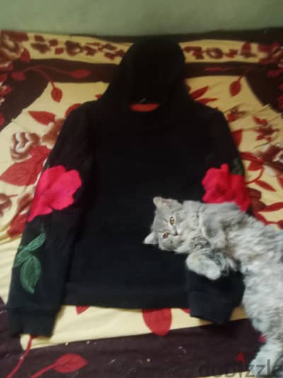 سويت شيرت بناتي قطيفه مستورد