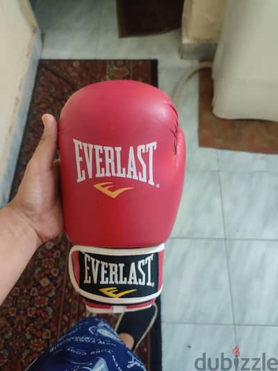 Everlast Pro 12oz