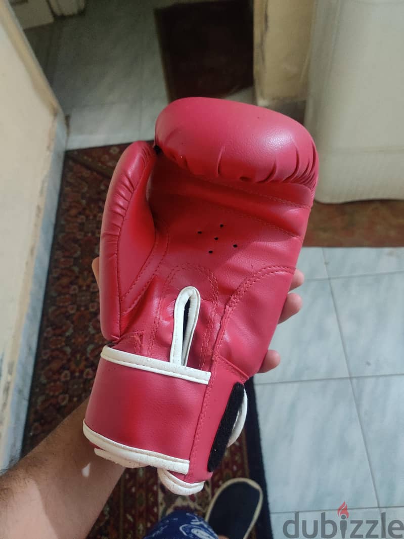 Everlast Pro 12oz 1
