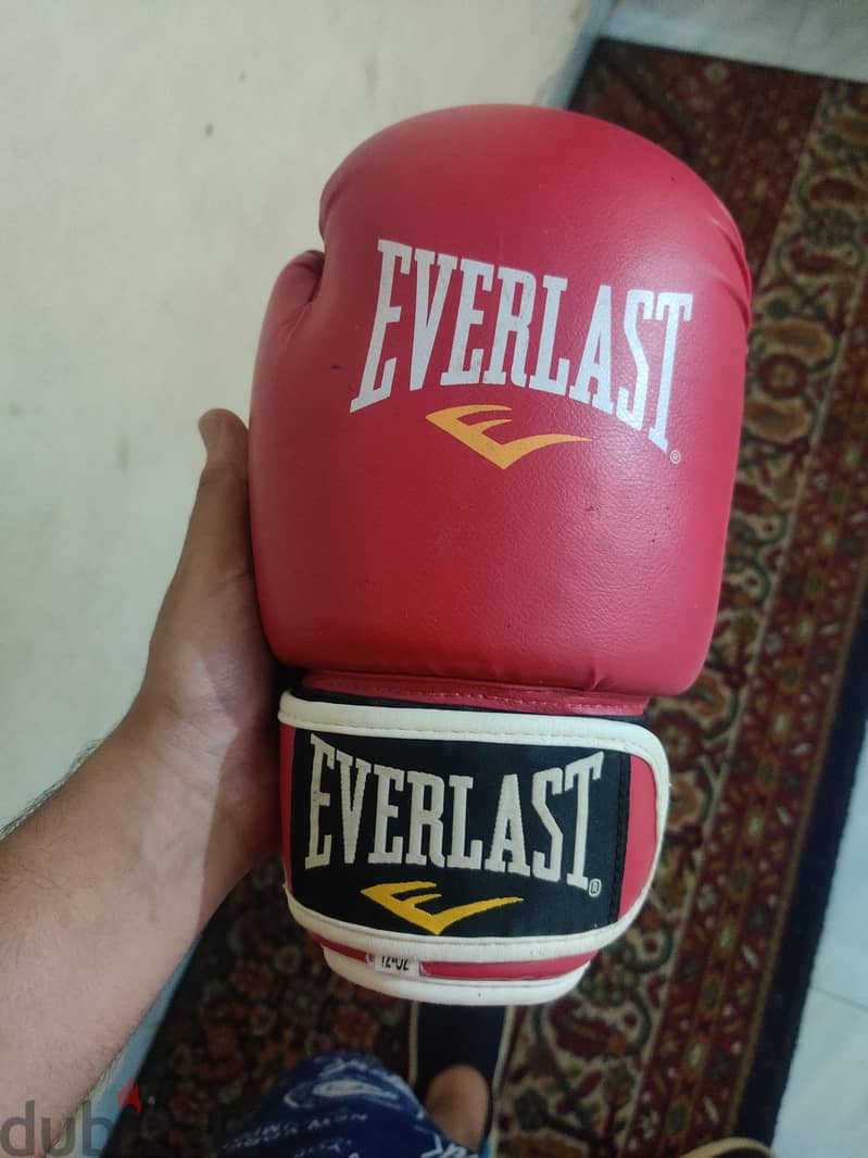 Everlast Pro 12oz 3