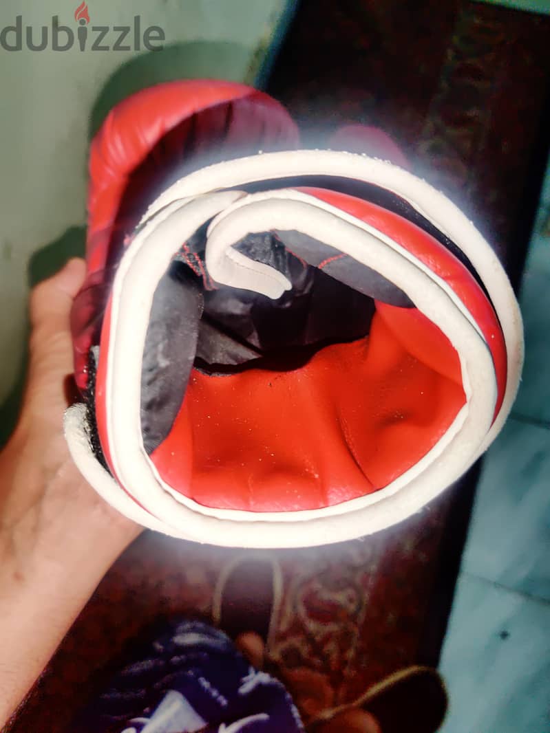 Everlast Pro 12oz 5