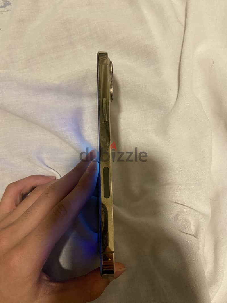 Apple - iPhone 13 Pro Max 1