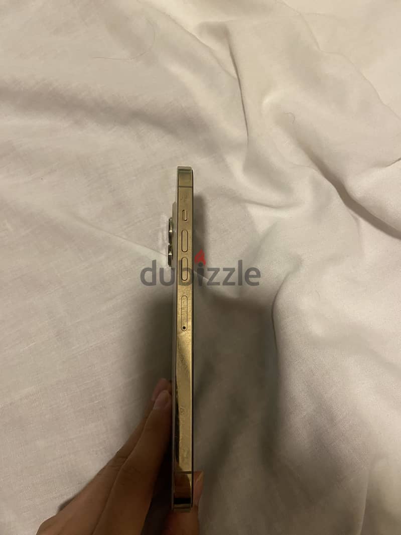 Apple - iPhone 13 Pro Max 6