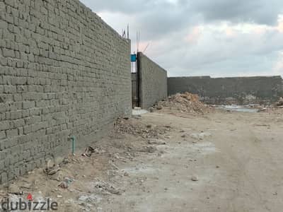 Alexandria King Mariout behind Borg El Arab Stadium next to Al-Fath Mosque