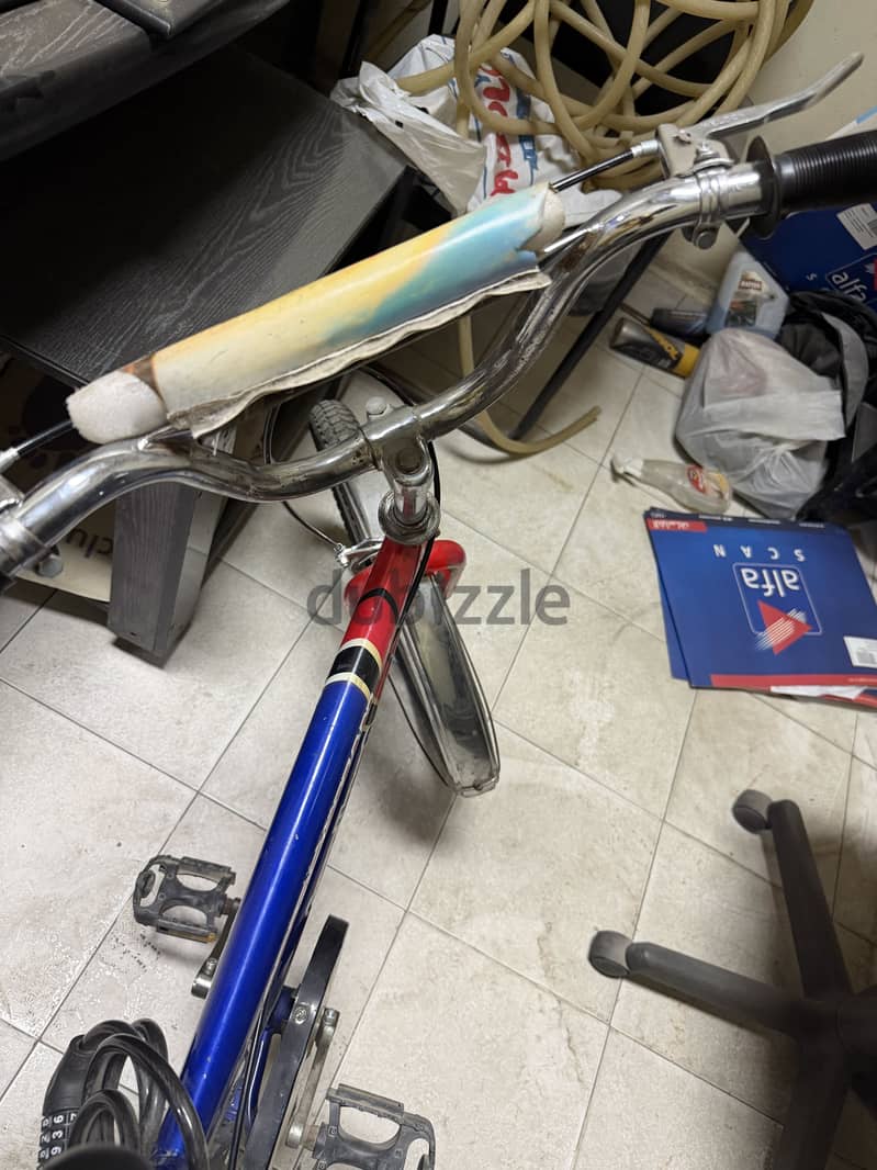 V. Good Bicycle 4
