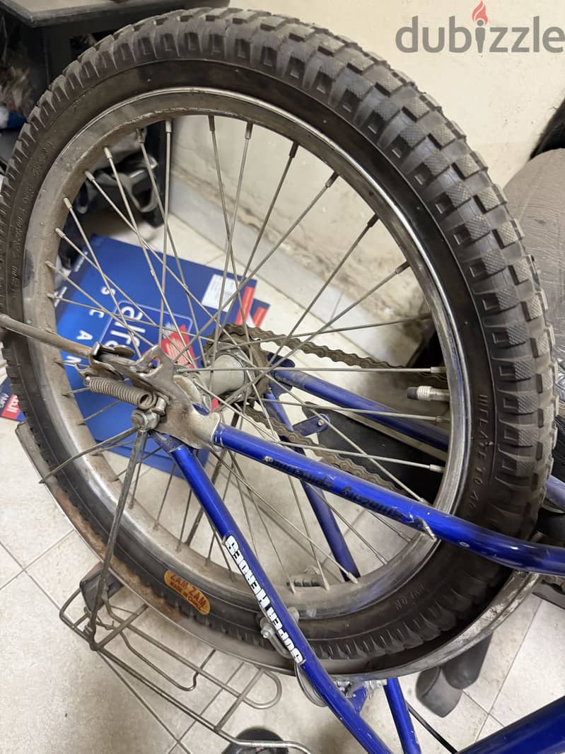 V. Good Bicycle 6