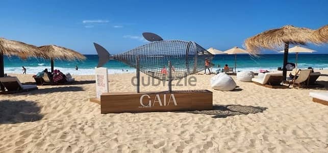 Gaia north coast for rent