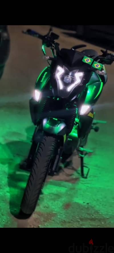 هوجنz250