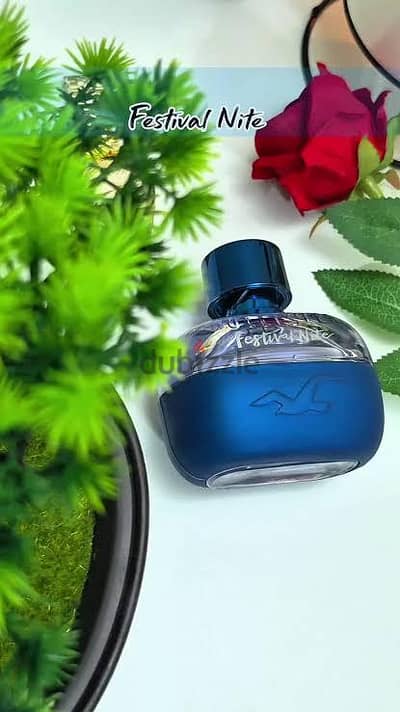 Hollister festival nite for him 50ml
