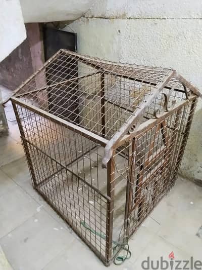 قفص حديدي للكلاب الكبيره