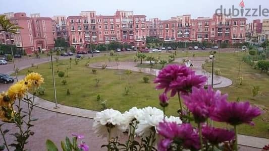 Fully Furnished Apartment - شقة مفروشة