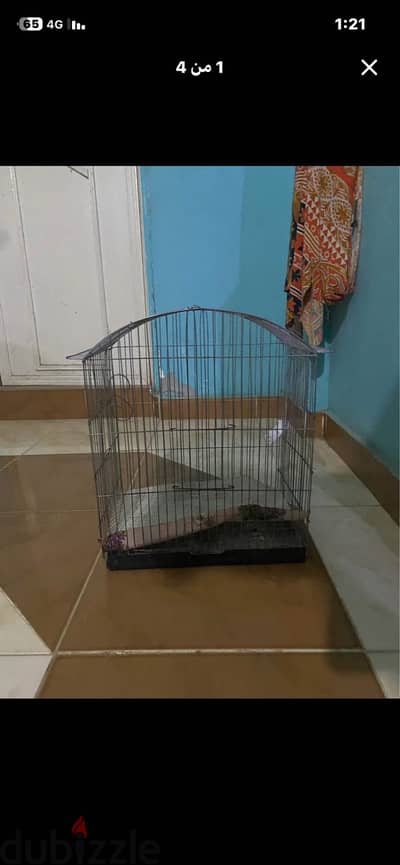 أقفاص وعشوش