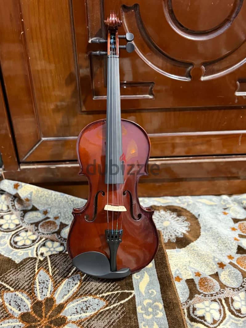 Fitness 4/4 violin 3