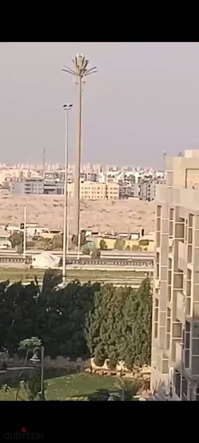 روزبد