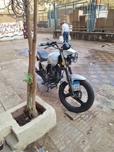 كيواي سي لايت