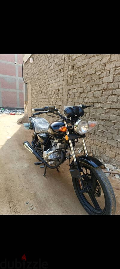 هوجن 3 ارنبه سوداء
