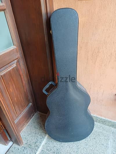 Spanish guitar case