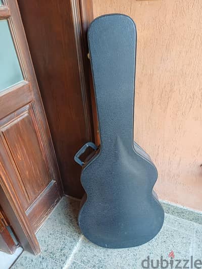 Spanish guitar case