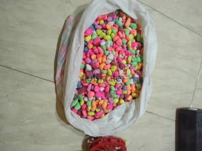 حوض سمك
