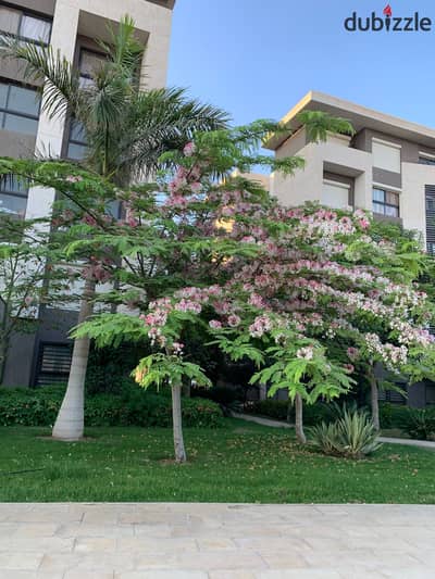  In one of Madinaty’s finest locations (B15)—A prime opportunity to own an apartment that perfectly blends a prestigious address, absolute privacy, and an open, serene view that inspires comfort and tranquility every single day.