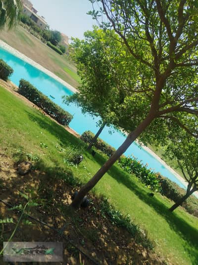 Standalone Villa for Rent in Madinaty – VG1 | Model W | Direct Golf & Lake View