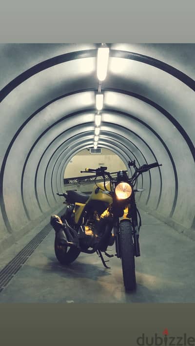 هوجن V250