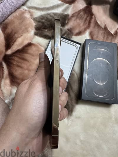 آبل - آيفون 12 برو ماكس