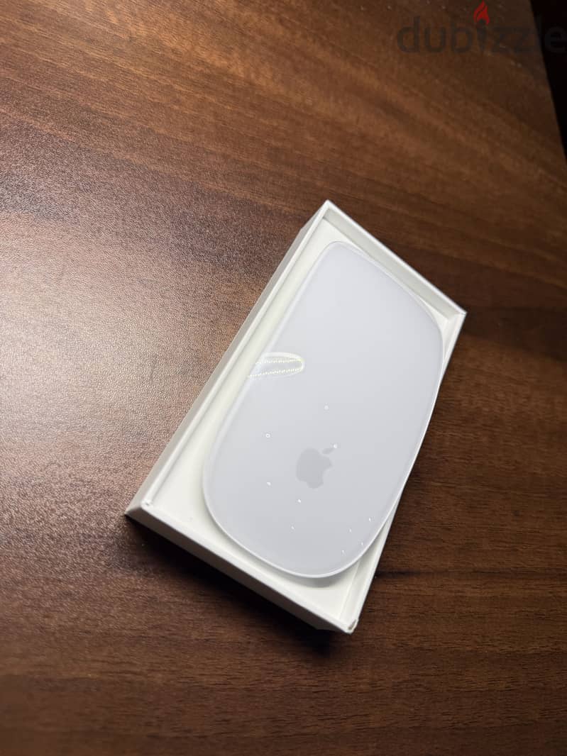Apple Magic Mouse USB-C - Original 2