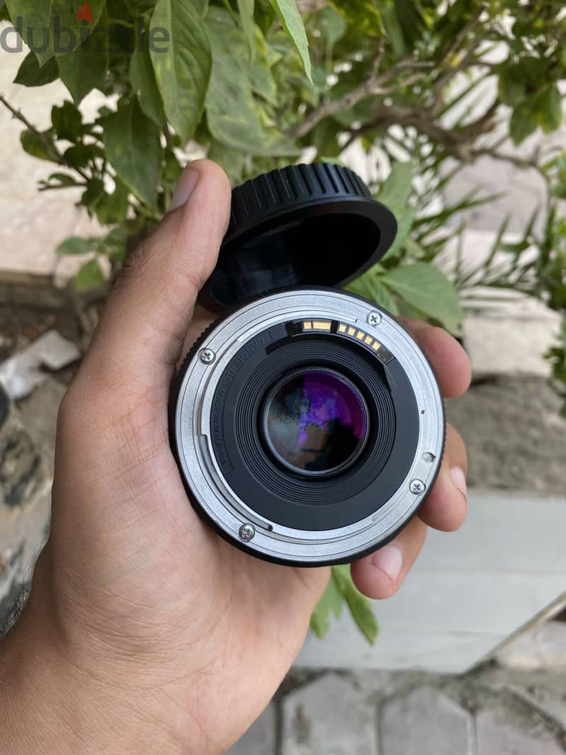 Canon 50stm 1