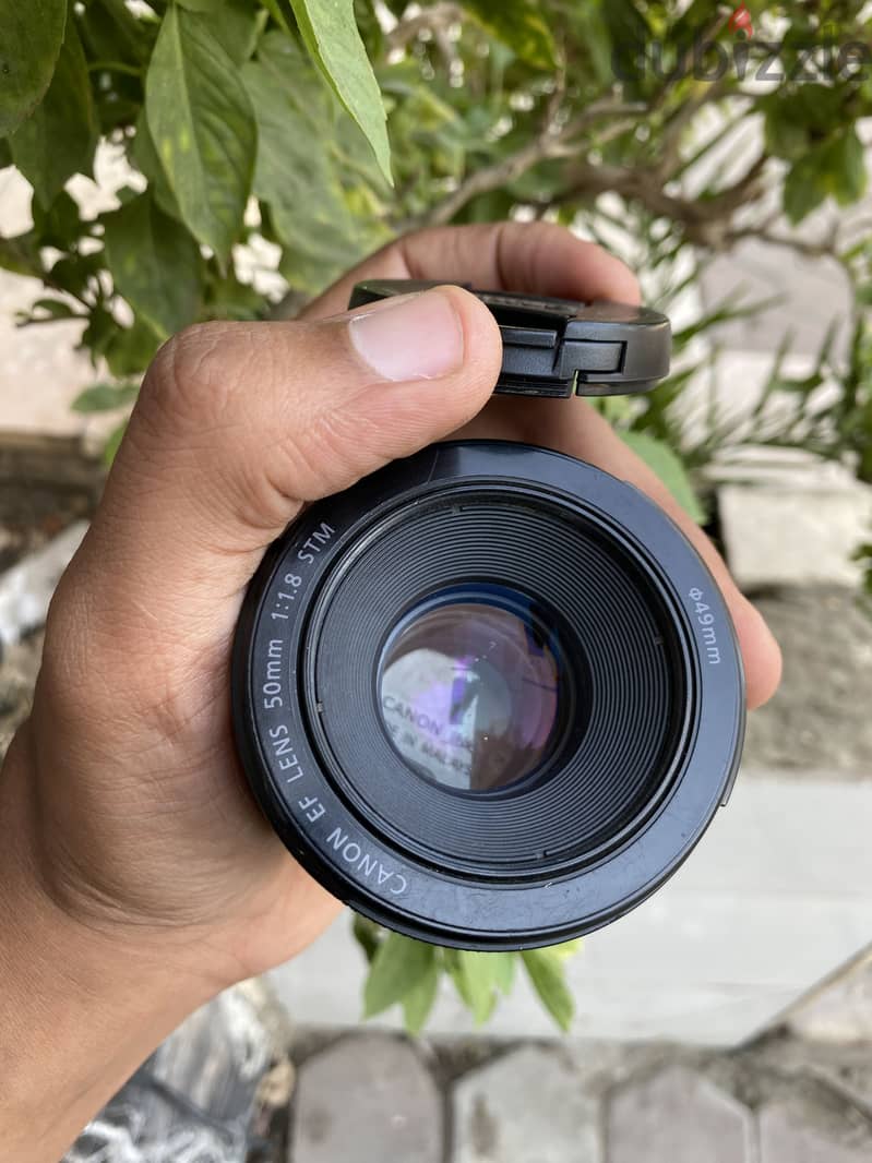 Canon 50stm 2