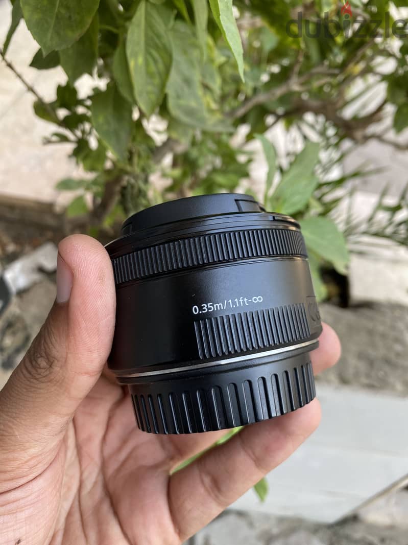 Canon 50stm 3