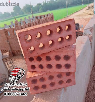 مصنع الرضا للطوب بكفر الزيات