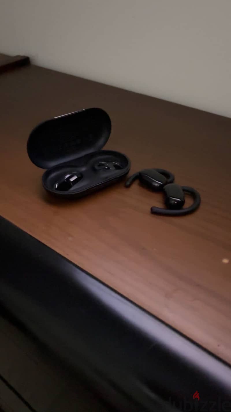 Soundcore earbuds 1