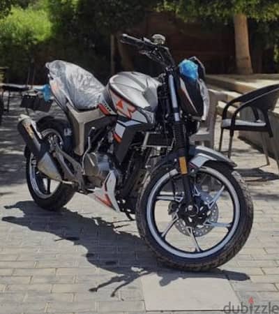هوجن z250