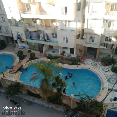 شقه بالرووف فى اسكندرية العجمي شاطئ النخيل تطل على حمام سباحه قريبة للأسواق والمطاعم موقع متميز سكنى ومصيفى